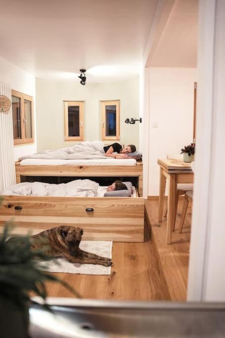 Wohnwagon Paul - Autarkie Erleben! - Tiny House Villa Oberschneiding Esterno foto